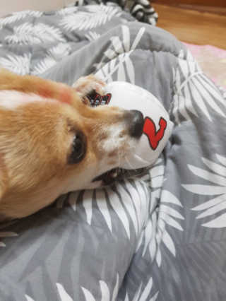 남초롱님이 올린 리뷰 사진 3