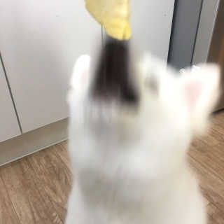 김연희님이 올린 리뷰 사진 2