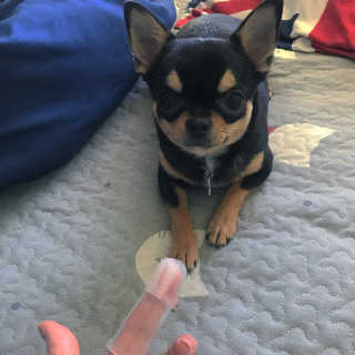 현진님이 올린 리뷰 사진 2