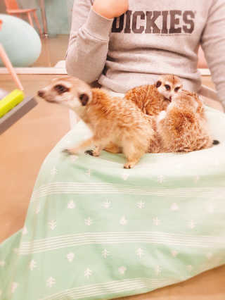 항항항님이 올린 리뷰 사진 1