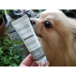 Peepingpomeranian님이 올린 리뷰 사진 1
