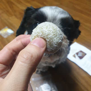 가횽님이 올린 리뷰 사진 2