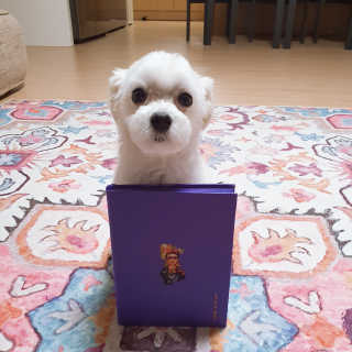 미민님이 올린 리뷰 사진 1