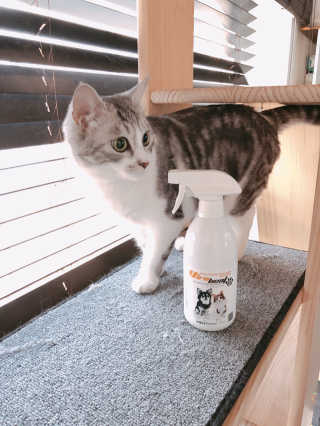 0123eunhye님이 올린 리뷰 사진 2