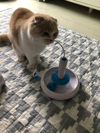 띠띠님이 올린 리뷰 사진 2