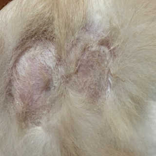 어거스트비님이 올린 리뷰 사진 4