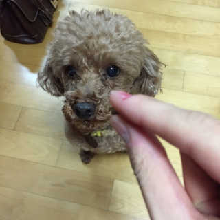 ReginaKwak님이 올린 리뷰 사진 3
