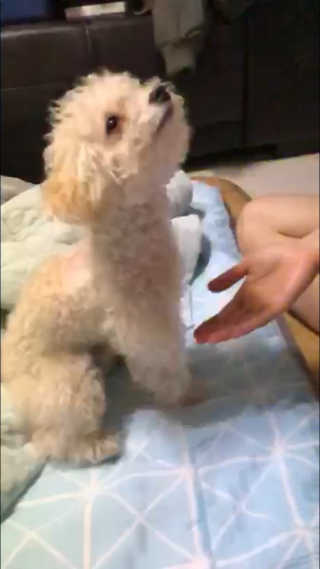 코딱지님이 올린 리뷰 사진 3