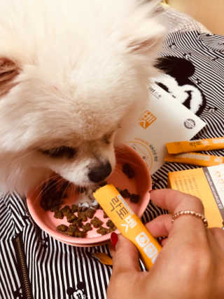 유산균하우스 [프로바이오닉]락토벳 — 4점을 준 리뷰어가 2019년 8월 올린 사용 사진