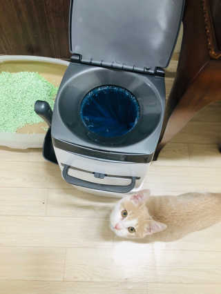 펫토리아 이중밀폐 고양이분변통 리터락커2 본품 — 5점을 준 리뷰어가 2018년 12월 올린 사용 사진