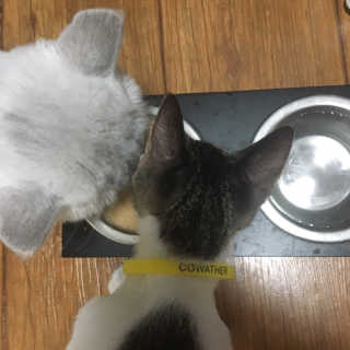 단발소녀님이 올린 리뷰 사진 2