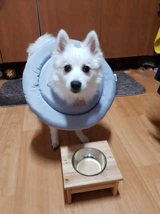 블리블리♡은블리♡님이 올린 리뷰 사진 2