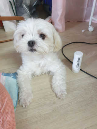 꼬물이님이 올린 리뷰 사진 2