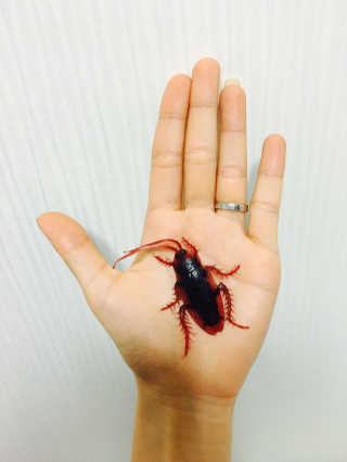 갱이님이 올린 리뷰 사진 1