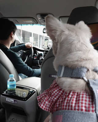 임예슬님이 올린 리뷰 사진 2