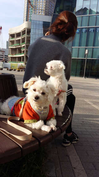 쮸동비님이 올린 리뷰 사진 3