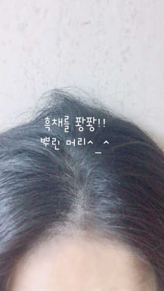 다슈코리아 다슈 안티 헤어로스 헤어쿠션 16g — 5점을 준 리뷰어가 2017년 10월 올린 사용 사진
