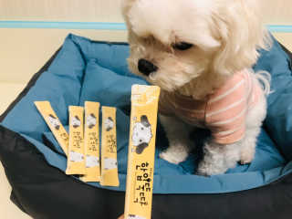 [펫토리아] 강아지,고양이겸용 짜먹는 한입뚝딱 — 5점을 준 리뷰어가 2019년 2월 올린 사용 사진