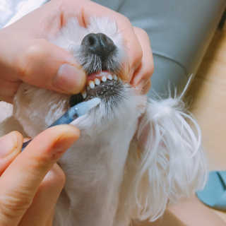 콩순이엄마님이 올린 리뷰 사진 2