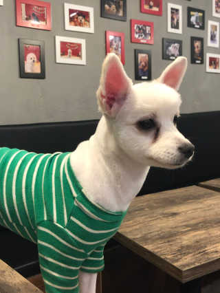 히블링님이 올린 리뷰 사진 3