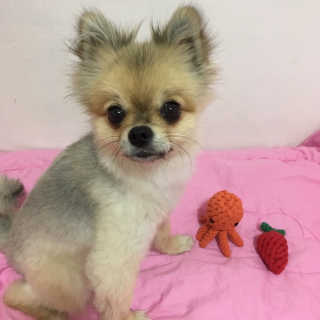 Ariel님이 올린 리뷰 사진 3