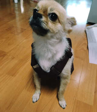 강봉식님이 올린 리뷰 사진 1