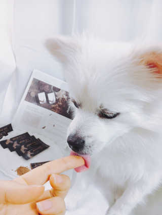앨리스님이 올린 리뷰 사진 1