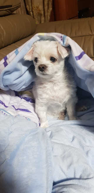 데본킴언니님이 올린 리뷰 사진 1