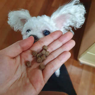 몽이언니님이 올린 리뷰 사진 1
