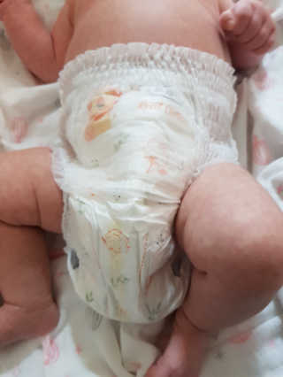 보솜이 리얼코튼 팬티형 — 5점을 준 리뷰어가 2019년 3월 올린 사용 사진
