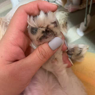 어거스트비님이 올린 리뷰 사진 3