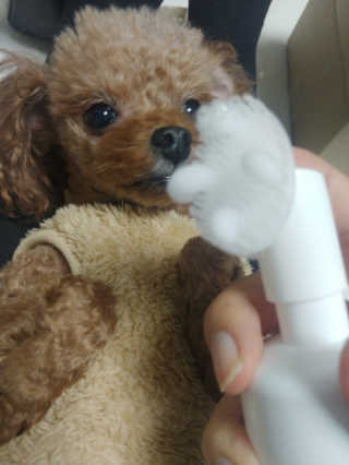 MijeongKim님이 올린 리뷰 사진 2
