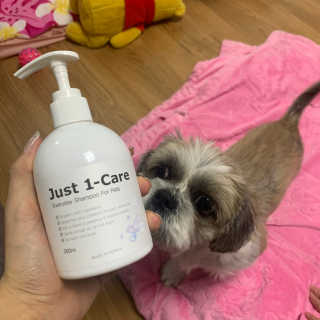 [펫토리아] 뚝딱케어 강아지 고양이 샴푸+미스트 SET — 5점을 준 리뷰어가 2020년 2월 올린 사용 사진