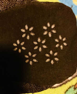 uktwirl님이 올린 리뷰 사진 4