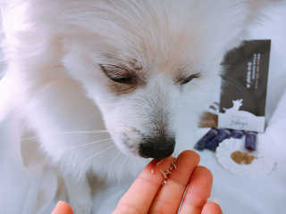 앨리스님이 올린 리뷰 사진 3
