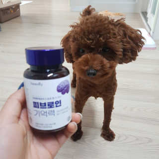 뽐님이 올린 리뷰 사진 2