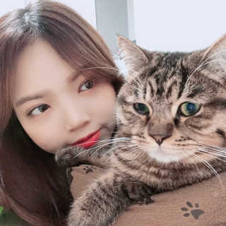 양알밤님이 올린 리뷰 사진 1