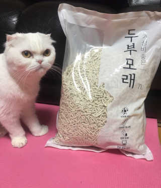 Dragonzoo님이 올린 리뷰 사진 1