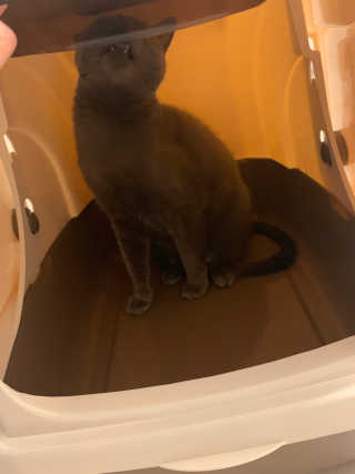 수아맘님이 올린 리뷰 사진 3