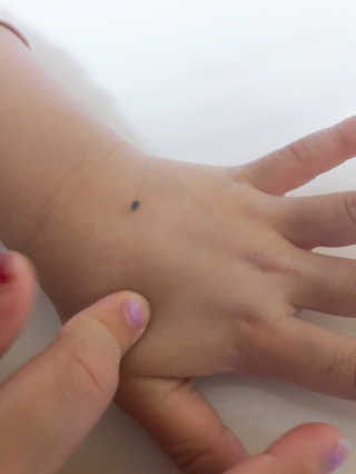 주주님이 올린 리뷰 사진 2