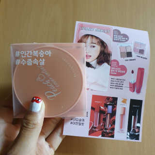 [블랙루즈] 피치 커버 벨벳 쿠션 2종 중 택1 — 5점을 준 리뷰어가 2019년 10월 올린 사용 사진