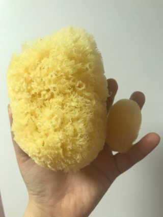 룰라러브 모공관리 끝 지중해산 천연해면 바디스펀지 — 5점을 준 리뷰어가 2018년 4월 올린 사용 사진