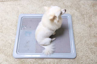 MIMI님이 올린 리뷰 사진 3