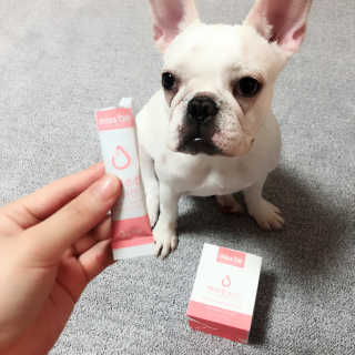 불독키우는개엄마❤️님이 올린 리뷰 사진 1