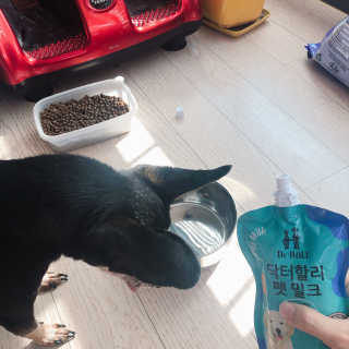 닥터할리펫밀크 8종 — 5점을 준 리뷰어가 2019년 10월 올린 사용 사진