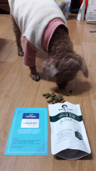 쪙현님이 올린 리뷰 사진 2
