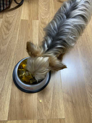 YeonseungSung님이 올린 리뷰 사진 4