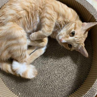 르네링님이 올린 리뷰 사진 3