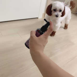챔미님이 올린 리뷰 사진 2