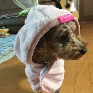 민정님이 올린 리뷰 사진 1